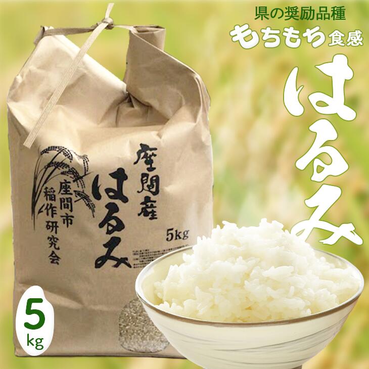 【ふるさと納税】座間市産　はるみ　5kg｜新米 米 白米 令和5年産 お米 備蓄米 ※2023年11月上旬～2024年3月下旬頃に順次発送予定のサムネイル