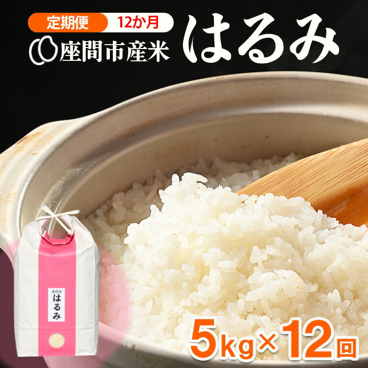 【ふるさと納税】【定期便】12か月 座間市産米 はるみ5kg×12回 ※離島への配送不可 ※2025年10月下旬頃より順次発送予定