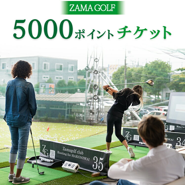 【ふるさと納税】ZAMA GOLF 5000ポイントチケット