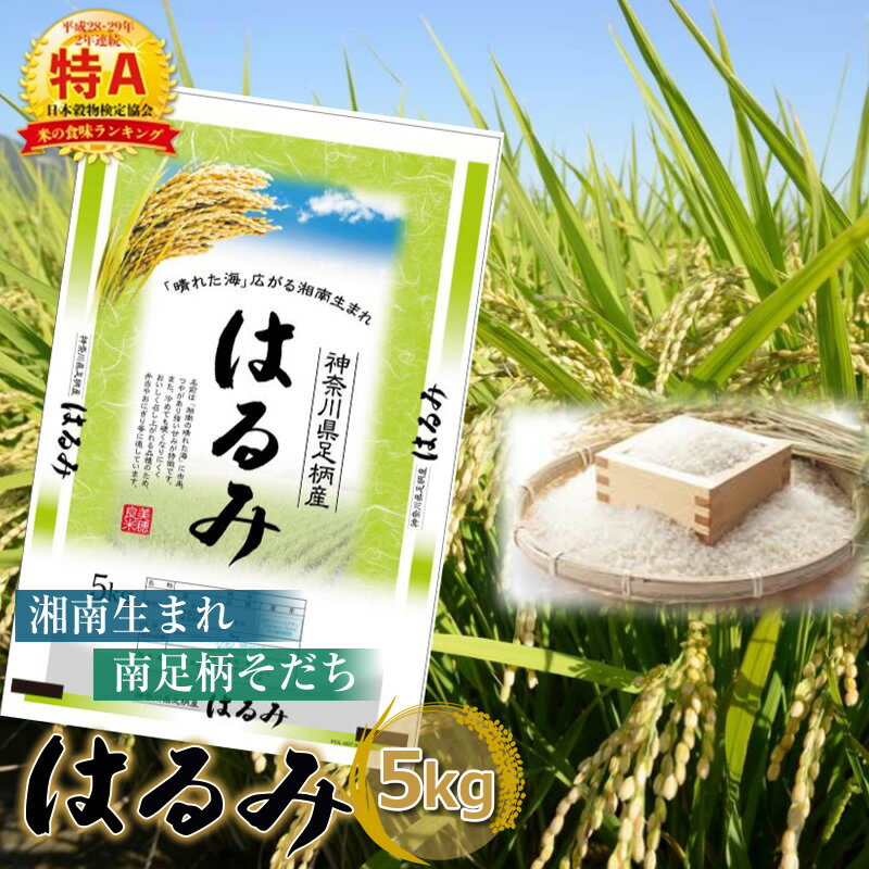 【ふるさと納税】【令和5年産】湘南生まれ 南足柄育ちのお米 はるみ 精米 5kg 1袋 出荷時期:10月初旬から順次発送 【ギフト プレゼント 贈り物 お返し おいしい 仕送り ごはん おいしい 神奈川…