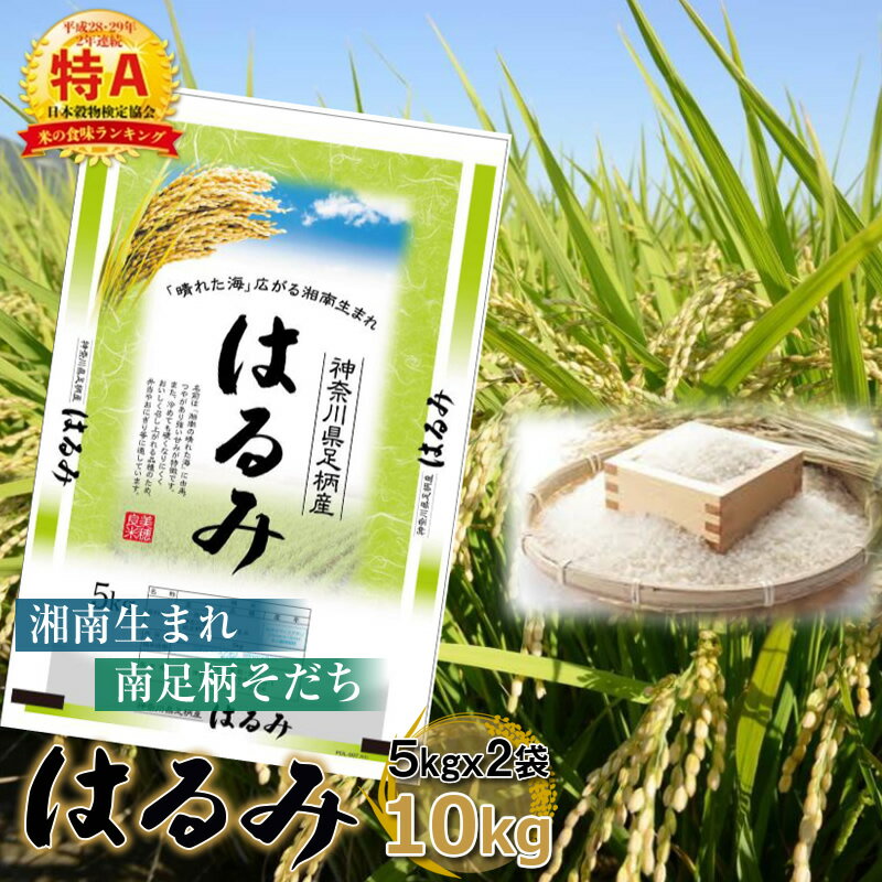 【ふるさと納税】【令和5年産】湘南生まれ 南足柄育ちのお米 はるみ 精米 10kg 5kg 2袋 出荷時期:10月初旬から順次発送 【 神奈川県 南足柄市 】【ギフト プレゼント 贈り物 お返し おいしい …