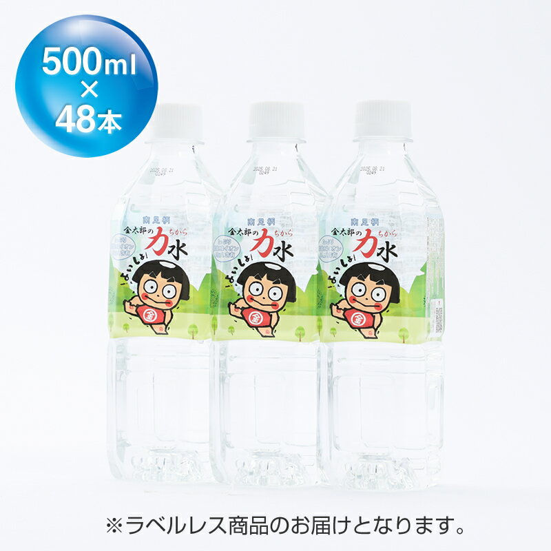 【ふるさと納税】おためしAセット 南足柄 金太郎の力水 ラベルレス 500ml×48本（24本入×2箱）【飲料 ...