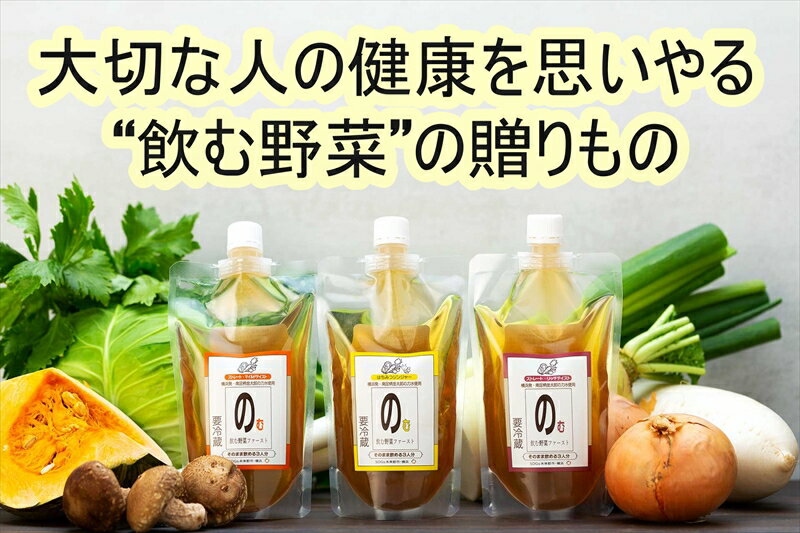 【ふるさと納税】【南足柄市・金太郎の力水使用】飲む野菜ファースト　3ヶ月定期便【出汁 スープ ギフト プレゼント 贈り物 お返し おいしい まとめ買い 8種 野菜 食品ロス削減 飲む野菜 野菜だし ギフト プレゼント 贈り物 お返し おいしい まとめ買い 神奈川県 南足柄市 】