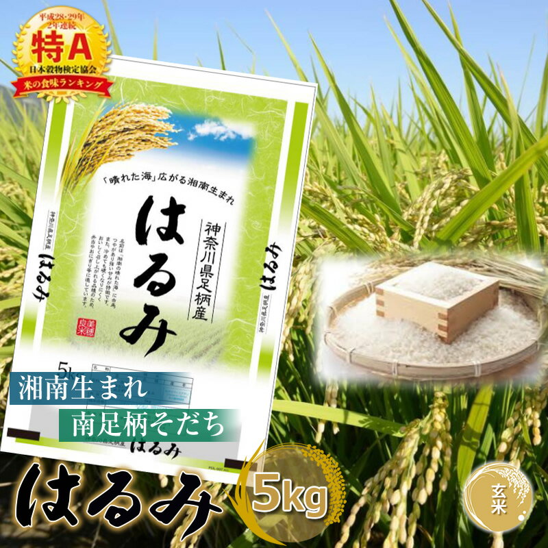 6位! 口コミ数「0件」評価「0」湘南生まれ南足柄育ちのブランド米「はるみ」(玄米) 5kg 創業100年の米屋がお届け【特A ギフト プレゼント 贈り物 返礼 御礼 おいし･･･ 