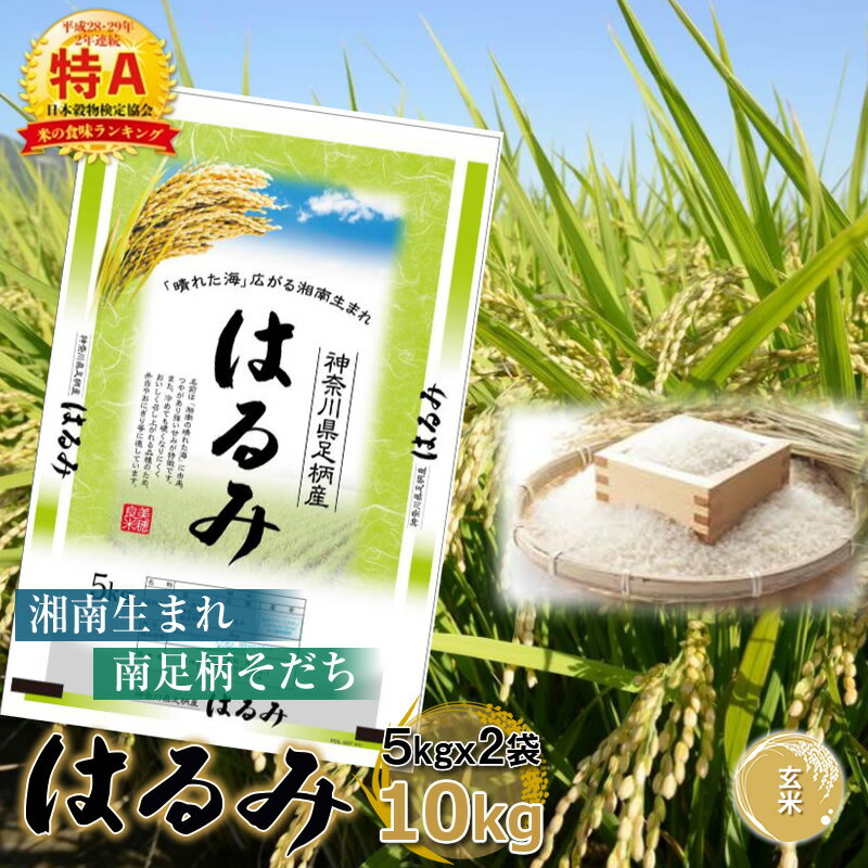 6位! 口コミ数「0件」評価「0」湘南生まれ南足柄育ちのブランド米「はるみ」(玄米) 10kg 創業100年の米屋がお届け【特A ギフト プレゼント 贈り物 返礼 御礼 おい･･･ 