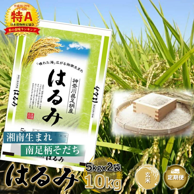 11位! 口コミ数「0件」評価「0」【定期便：全3回】 湘南生まれ南足柄育ちのブランド米「はるみ」(玄米) 10kg 創業100年の米屋がお届け【特A ギフト プレゼント 贈り･･･ 