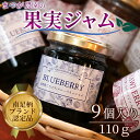 【ふるさと納税】まつが農園ジャムギフト9個入り【ギフト プレゼント 贈り物 お返し おいしい まとめ買い 果物 くだもの フルーツ お歳暮 お中元 神奈川県 南...