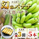 【ふるさと納税】定期便:スペシャル 金太郎バナナ(15本) 5本×3回(毎月お届け) 栽培期間中農薬不使用 【国産 ギフト プレゼント 贈り物 お返し おいしい...