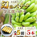 【ふるさと納税】定期便:スタンダード 金太郎バナナ(25本) 5本×5回(毎月お届け) 栽培期間中農薬不使用 【国産 ギフト プレゼント 贈り物 お返し おいし...
