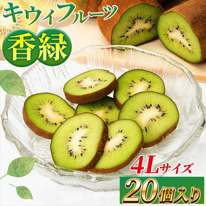 【ふるさと納税】希少キウイフルーツ 「香緑」。4Lサイズ 20個入り 糖度16度。甘くておいしい＜出荷時期：2024年12月15日出荷開始～25年1月15日出荷終了＞｜キウイ フルーツ 果物 くだもの 神奈川県 南足柄市のサムネイル