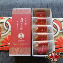 【ふるさと納税】林檎どら焼き 10個入り(5個入り×2箱)リンゴを餡に練りこみ、しっとり焼き上げたどら焼き 手土産・お土産(大雄山 天んぐ)【 神奈川県 南足柄市 】