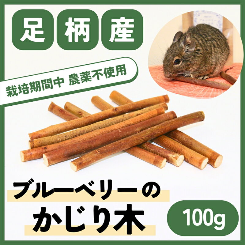 [小動物ペットに]足柄産ブルーベリーのかじり木100g[ ペット 神奈川県 南足柄市 ]