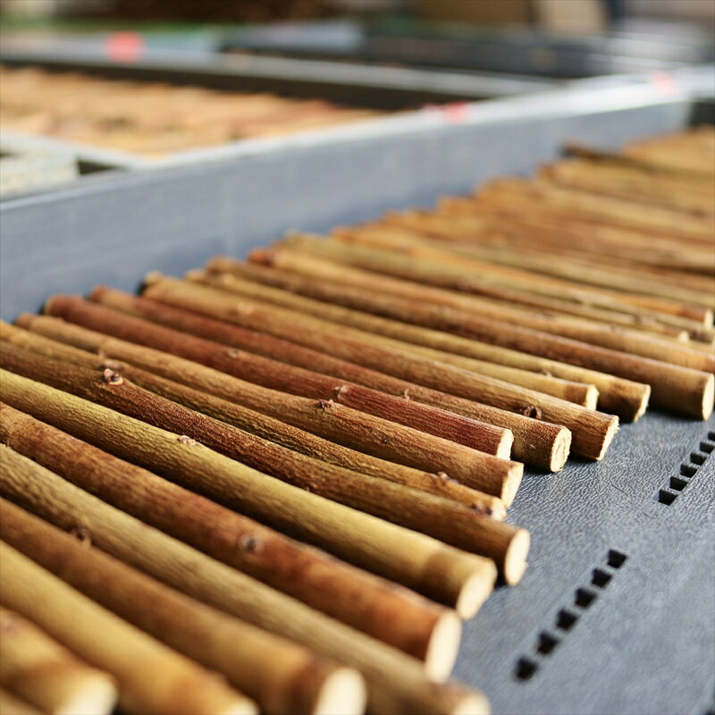 【ふるさと納税】【小動物ペットに】足柄産ブルーベリーのかじり木100g【 ペット 神奈川県 南足柄市 】