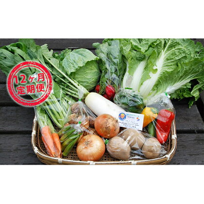 【12ヶ月定期便】旬の採りたて野菜・果樹セット 【定期便・野菜・セット・詰合せ】