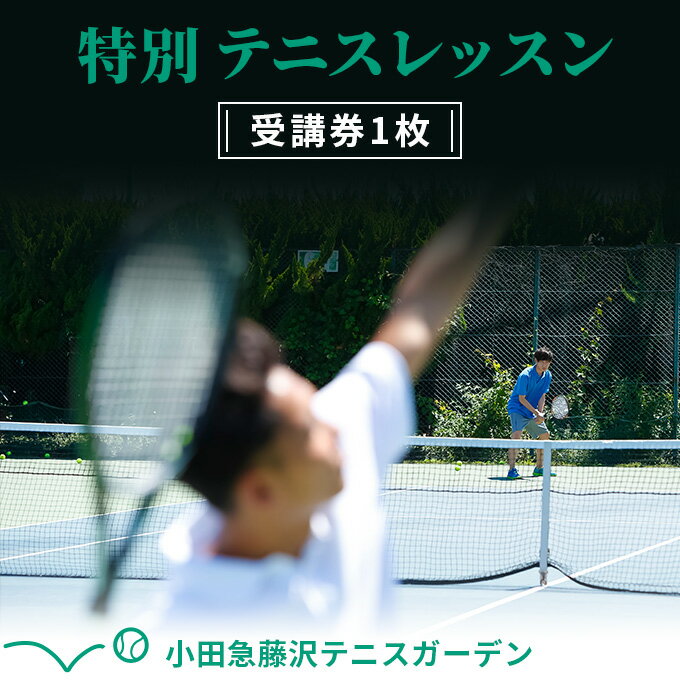 【ふるさと納税】小田急藤沢テニスガーデン 特別テニスレッスン受講券1枚　【チケット】