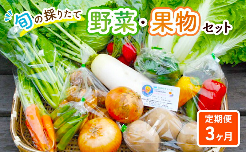 【ふるさと納税】野菜セット 定期便 3ヶ月 旬の採りたて 野菜 果樹 セット フルーツセット　【定期便・ 野菜詰め合わせ フルーツ 果物 詰め合わせ 3回 お楽しみ 】