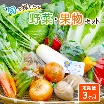 野菜セット 定期便 3ヶ月 旬の採りたて 野菜 フルーツ 詰め合わせ セット 野菜定期便 野菜詰め合わせ フルーツ詰め合わせ フルーツセット 季節の野菜 季節の果物 くだもの 果物 果樹 神奈川 定期 お楽しみ 3回　【定期便・ 綾瀬市 】