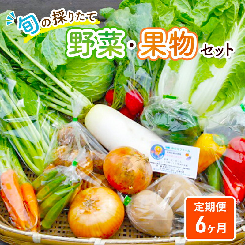 【ふるさと納税】野菜セット 定期便 6ヶ月 旬の採りたて 野菜 フルーツ 詰め合わせ セット 野菜定期便 野菜詰め合わせ フルーツ詰め合わせ フルーツセット 季節の野菜 季節の果物 くだもの 果…