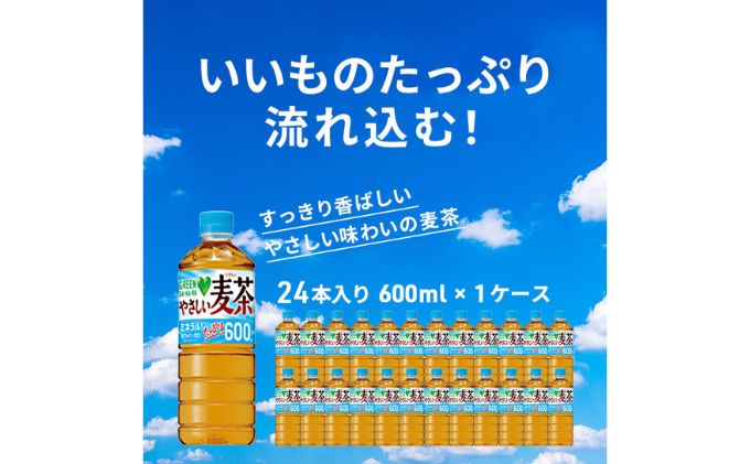 【ふるさと納税】麦茶 GREEN DA・KA・RA やさしい麦茶 600ml×24本 ペットボトル　【 サントリー お茶 アレルギー 特定原材料 27品目 不使用 大麦 玄米 はと麦 海藻 カフェインゼロ 】