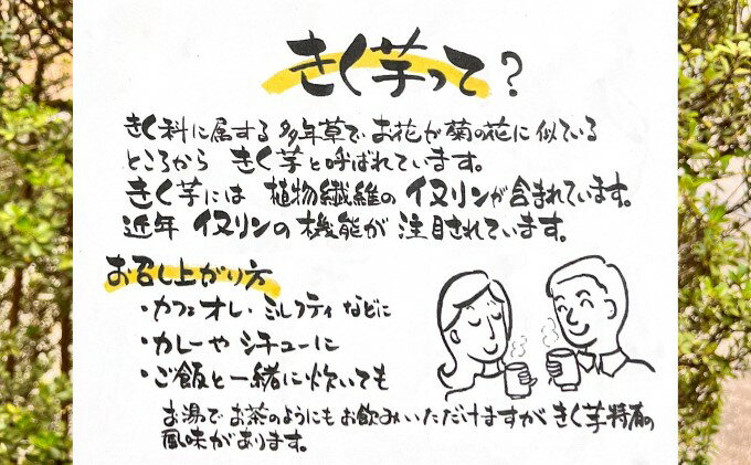 【ふるさと納税】紅白菊芋粉末 50g×2袋 イヌリン ビフィズス菌 食物繊維 脂肪吸収 血糖値 菊芋 キクイモ 綾瀬市 野菜加工品 加工食品 きくいもパウダー 神奈川県綾瀬市産紅白きく芋 お腹の調子を整える 脂肪の吸収を抑える f142182-ayase-10000346 神奈川県綾瀬市 サンプル画像3