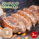 【ふるさと納税】リングイッサ ガウッシャ業務用 3kg 【 肉本来の旨味 豚肉生ソーセージ ボリューミー イベント BBQ ブラジル式生ソーセージ 生ソーセージ 】