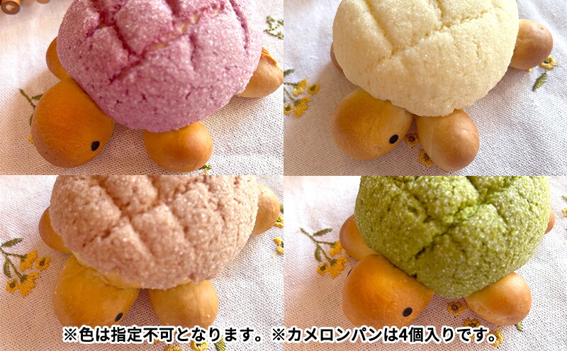 神奈川県綾瀬市の画像3