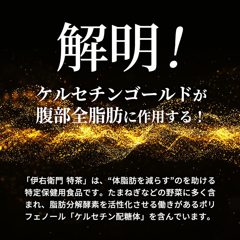 【ふるさと納税】お茶 定期便 伊右衛門 3ヶ月 500ml×24本 3回 特茶 ジャスミン トクホ 定期 ケルセチン配糖体 銀毫 サントリー 神奈川県綾瀬市 f142182-ayase-10000435 神奈川県綾瀬市 サンプル画像2