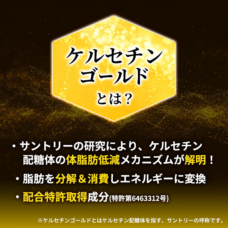【ふるさと納税】お茶 定期便 2ヶ月 伊右衛門 特茶 ジャスミン 500ml × 48本(2ケース) サントリー 特定保健用食品 トクホ ジャスミン茶 ジャスミンティー ペットボトル 500 茶 トクホ茶 飲料 飲み物 ドリンク ペットボトル飲料 防災備蓄 脂肪 体脂肪 減らす 定期 2回 f142182-ayase-10000507 神奈川県綾瀬市 サンプル画像3