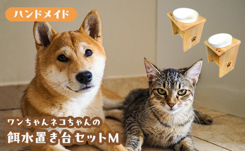 神奈川県綾瀬市の画像2