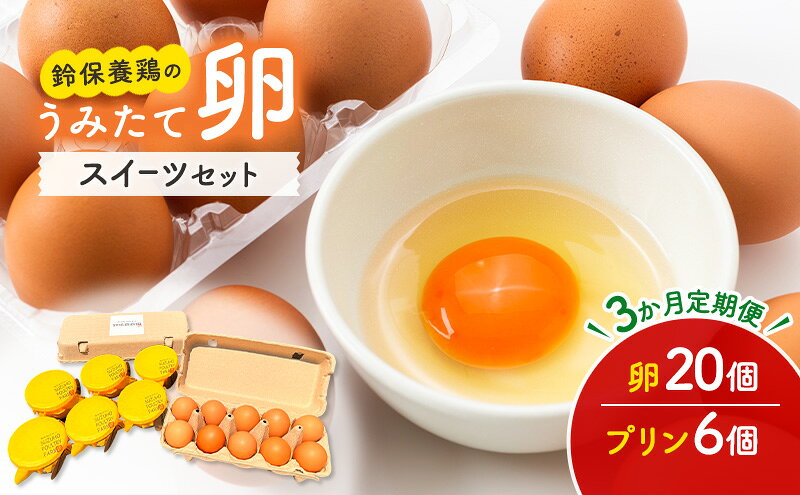 【ふるさと納税】【3か月定期便】 うみたて 卵 スイーツ セット 鈴保養鶏 たまご 20個 プリン 6個玉子 詰め合わせ 鶏卵 こだわり おやつ たまご定期便