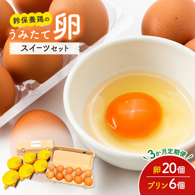【ふるさと納税】【3か月定期便】 うみたて 卵 スイーツ セット 鈴保養鶏 たまご 20個 プリン 6個玉子 ..