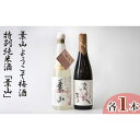 【ふるさと納税】No.040 特別純米酒「葉山」＆葉山ようこそ梅酒セット ／ お酒 日本酒 五百万石米 辛口 甘み 送料無料 神奈川県