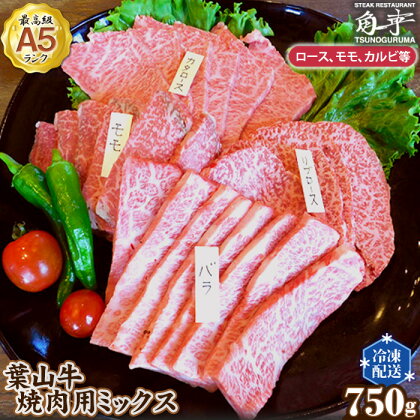 No.146 【葉山牛】750g　焼肉用ミックス（ロース、モモ、カルビ等） ／ お肉 黒毛和牛 牛肉 A5ランク 牧場直営 送料無料 神奈川県