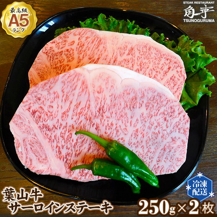 【ふるさと納税】No.152 【葉山牛】500g サーロインステーキ ／ お肉 黒毛和牛 牛肉 A5ランク 牧場直営 送料無料 神奈川県