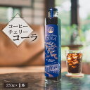 【ふるさと納税】No.206 カフェテーロ葉山 コーヒーチェリーコーラ 250g×1本 ／ 果実 爽やか 酸味 甘味 天然 エナジードリンク 送料無料 神奈川県