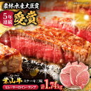 【ふるさと納税】【着日指定必須】【数量限定】葉山牛ステーキ三昧 計1.74kg 9枚 ( ヒレ 150g × 3枚 サーロイン 250g × 3枚 ランプ 18...