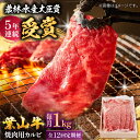 【ふるさと納税】【全12回定期便】 葉山牛 焼肉用カルビ1Kg / 牛肉 牛 肉 お肉 国産 赤身肉 やきにく 焼き肉 カルビ かるび BBQ ブランド牛 和牛...