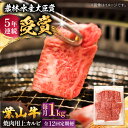 【ふるさと納税】【全12回定期便】 葉山牛 焼肉用上カルビ1Kg / 牛肉 牛 肉 お肉 国産 赤身肉 やきにく 焼き肉 カルビ かるび 上カルビ 上かるび B...
