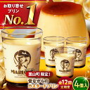 【ふるさと納税】【全12回定期便】昔ながらの カスタードプリン 4個 セット 計720g ( 180g × 4個 ) プリン お菓子 デザート スイーツ 神奈川...