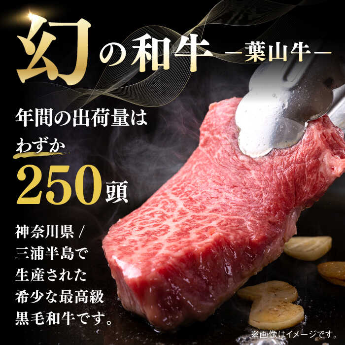 神奈川県葉山町の画像3