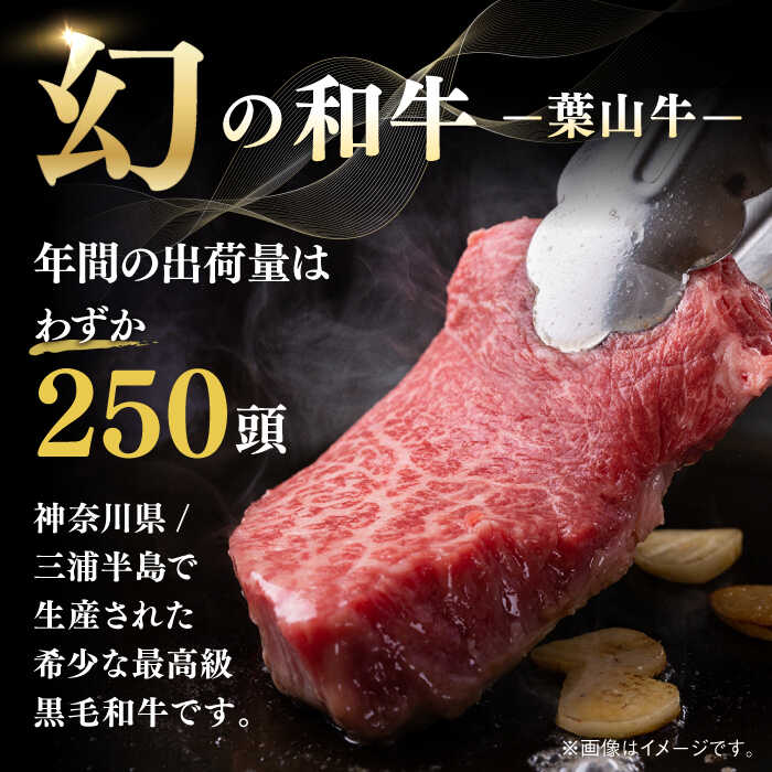 神奈川県葉山町の画像3