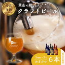 【ふるさと納税】【全6回定期便】【数量限定】葉山クラフトビールセット / グアバ ラガー 白ビール 神奈川県【B.Y.Cブリューイング株式会社】[ASBK003...