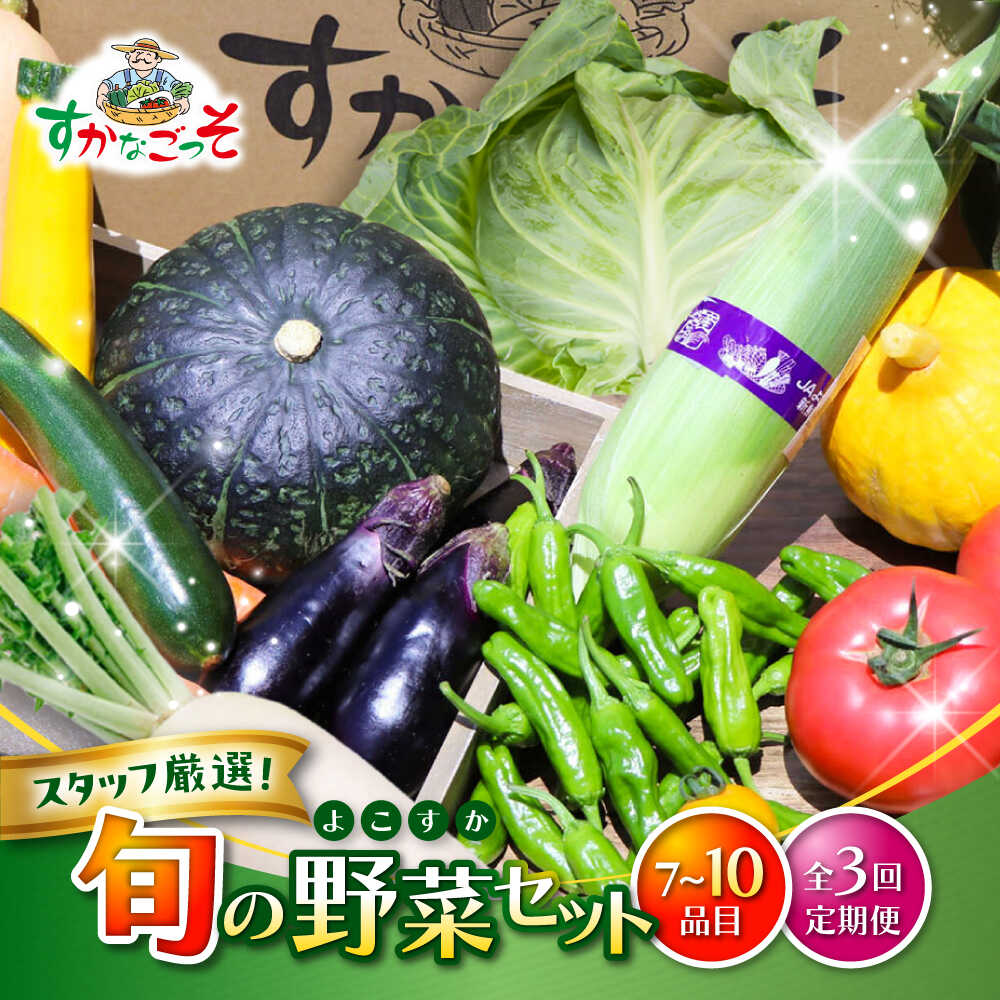 [全3回定期便]よこすか野菜セット すかなボックス / 野菜 やさい 野菜ボックス 野菜セット 野菜詰め合わせ 野菜BOX [JAよこすか葉山][ASCB002]