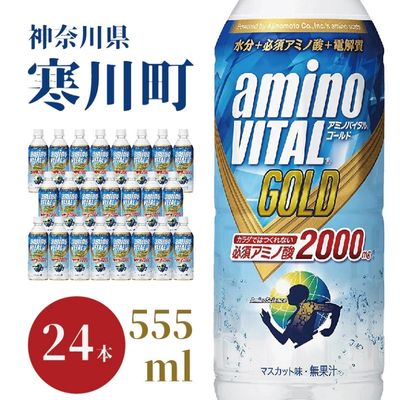 【ふるさと納税】スポーツドリンク アミノバイタル GOLD 2000 ドリンク 555ml × 24本　【 飲料 ソフトドリンク 飲み物 スポドリ 詰め合わせ セット 】のサムネイル