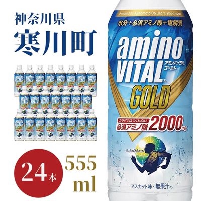 【ふるさと納税】アミノバイタルGOLD 2000ドリンク 555ml×24本　【飲料・ドリンク・果汁飲料・ジュース】