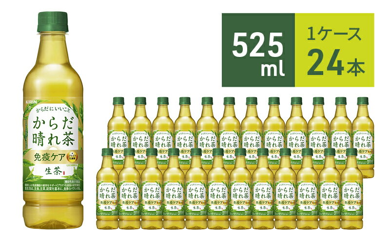 【ふるさと納税】生茶 ライフプラス 免疫アシスト キリン ペットボトル 525ml × 24本 機能性表示食品 お茶 茶　【 日本茶 緑茶 飲料 ソフトドリンク 飲み物 詰め合わせ セット 】