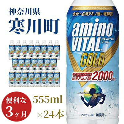 【ふるさと納税】スポーツドリンク アミノバイタル GOLD 2000 ドリンク 555ml×24本 3ヶ月 定期便　【定期便・ ペットボトル飲料 飲み物 ドリンク 必須アミノ酸配合 BCAA配合 速攻吸収 スポドリ マスカット味 】