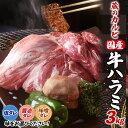 25位! 口コミ数「0件」評価「0」牛ハラミ 3kg 冷凍　【 お肉 牛肉 食材 グルメ 夕飯 夜ごはん おうち焼肉 焼肉 バーベキュー BBQ 】