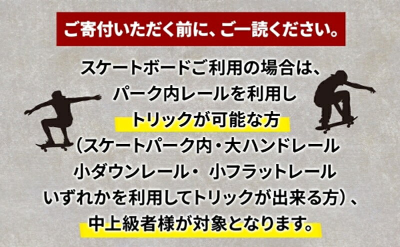 【ふるさと納税】中上級者限定 THEPARK 平日限定 1日分 SKATE 2部 利用券 スケートボード スケボー スケート 室内 コンクリート パーク ハンドレール ダウンレール 神奈川県 寒川町
