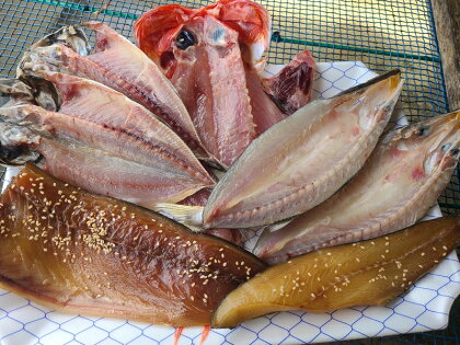 おおいその干物Aセット／ 季節によって多少内容が変わる訳あり品 【 ひもの 魚 天日干し 神奈川県 大磯 湘南 特産品 神奈川県 大磯町 自家製干物 贈答品 地魚 大磯産 干物 父の日】